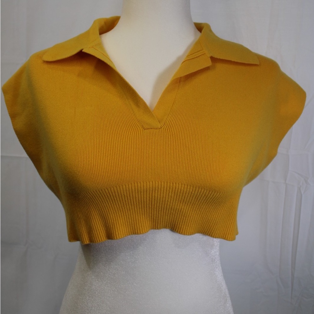 Golden Yellow Collared Cropped Top💛